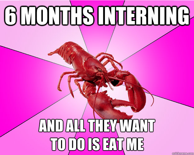 6 months interning and all they want to do is eat me - Long-term relationship Lobster