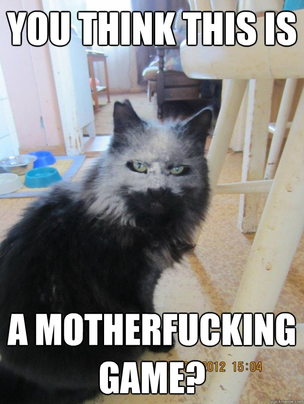 you think this is a motherfucking game - flour cat game