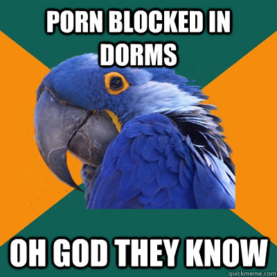 porn blocked in dorms oh god they know - Paranoid Parrot