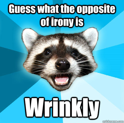 guess what the opposite of irony is wrinkly - Lame Pun Coon
