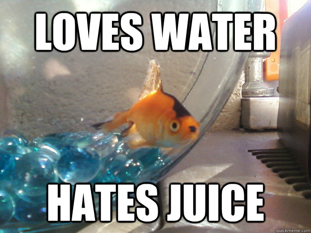 loves water hates juice - Fascist Fish