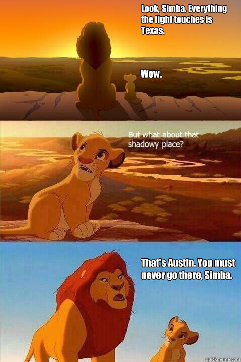 look simba everything the light touches is texas wow t - Lion King Shadowy Place