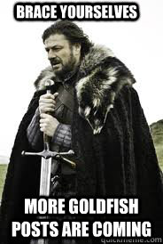 brace yourselves more goldfish posts are coming - Brace Yourselves
