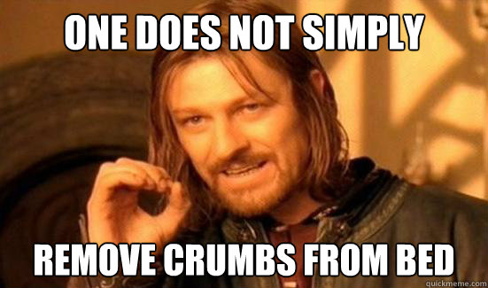 one does not simply remove crumbs from bed - Boromir