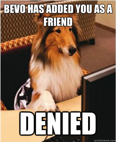 bevo has added you as a friend denied - Internet Reveille