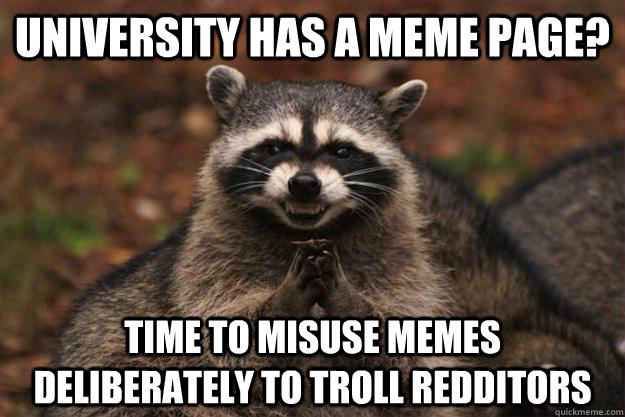 university has a meme page time to misuse memes deliberatel - Evil Plotting Raccoon