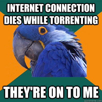 internet connection dies while torrenting theyre on to me - Paranoid Parrot