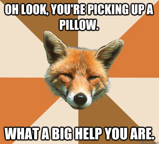 oh look youre picking up a pillow what a big help you are - Condescending Fox