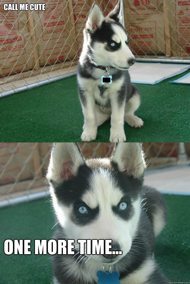 call me cute one more time - Insanity puppy