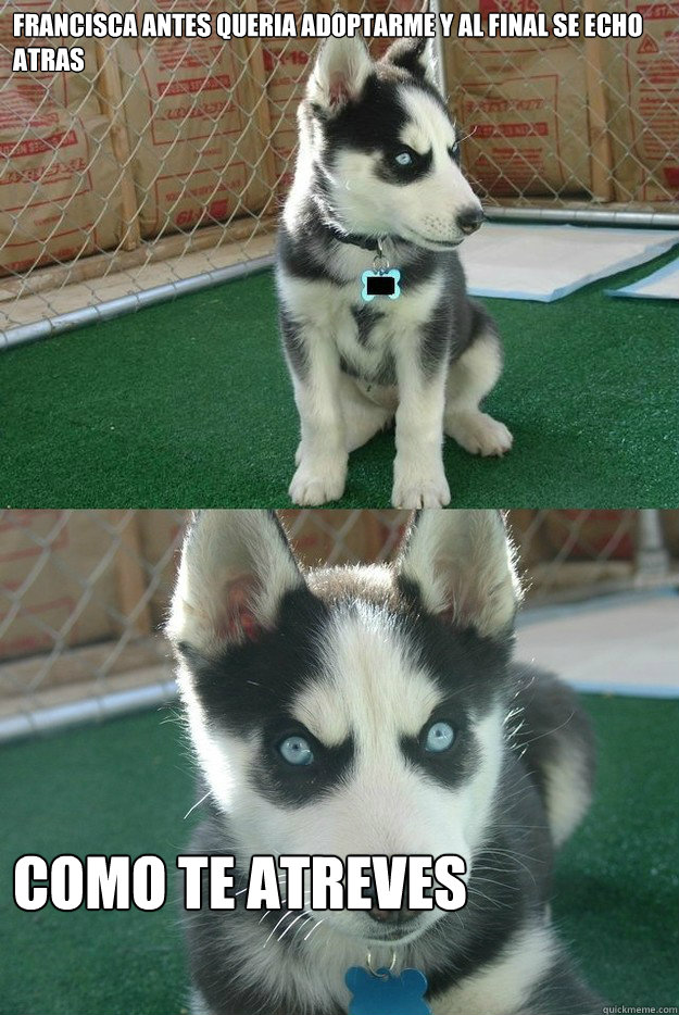 francisca antes queria adoptarme y al final se echo atras co - Insanity puppy
