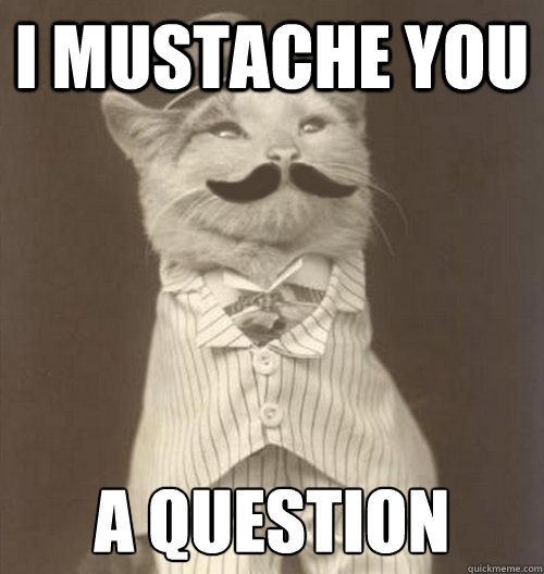 i mustache you a question - Original Business Cat