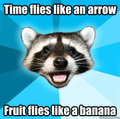 time flies like an arrow fruit flies like a banana - Lame Pun Coon