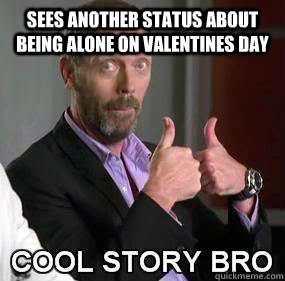 sees another status about being alone on valentines day - Cool story Valentine