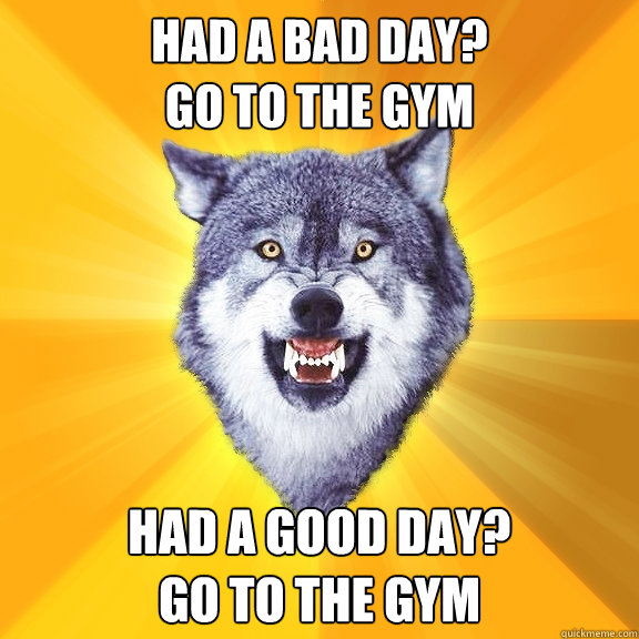 had a bad day go to the gym had a good day go to the gym - Courage Wolf