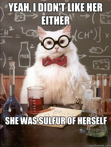 yeah i didnt like her either she was sulfur of herself - Chemistry Cat
