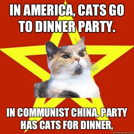 cat dinner party