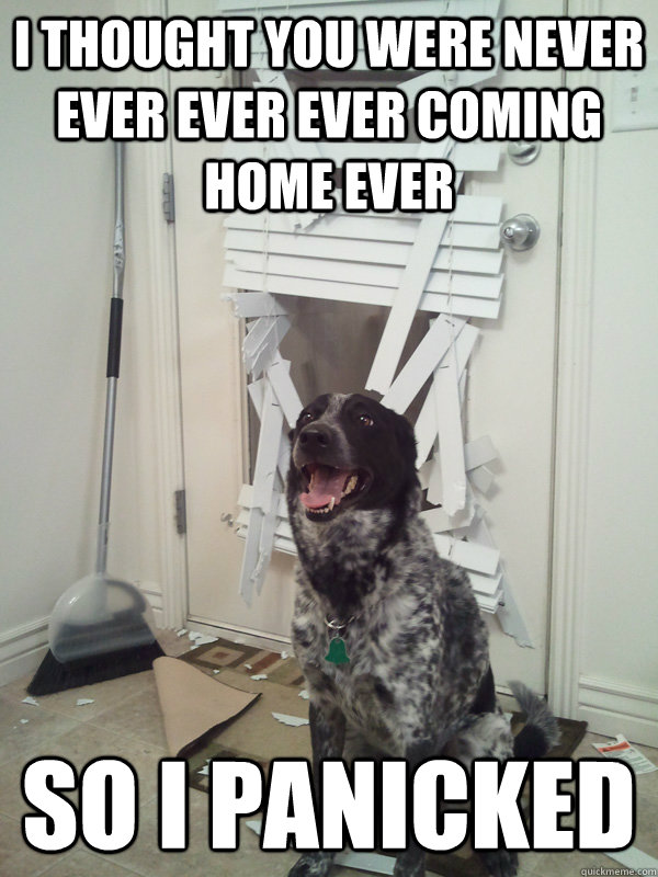 i thought you were never ever ever ever coming home ever so - It wont happen again. I promise