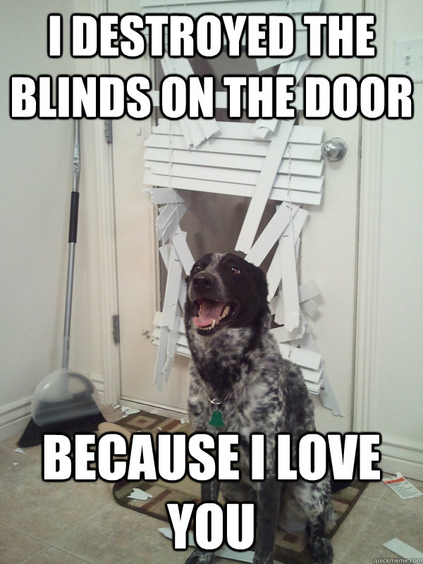 i destroyed the blinds on the door because i love you - It wont happen again. I promise