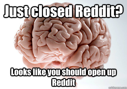 just closed reddit looks like you should open up reddit - Scumbag Brain