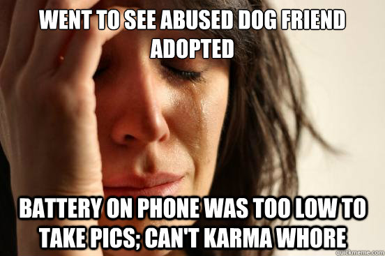 went to see abused dog friend adopted battery on phone was t - First World Problems