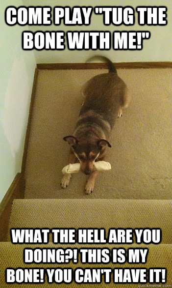 come play tug the bone with me what the hell are you doin -