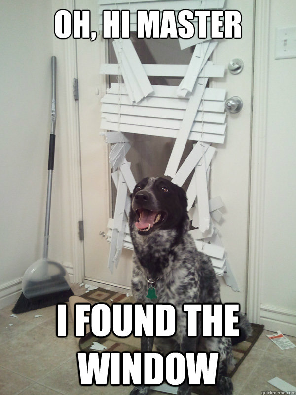 oh hi master i found the window - It wont happen again. I promise