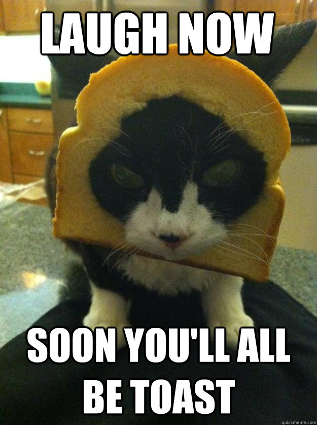 laugh now soon youll all be toast - Angry Breaded Cat