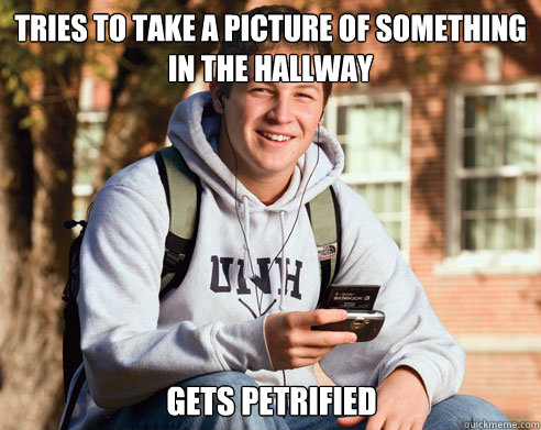 tries to take a picture of something in the hallway gets pet - College Freshman