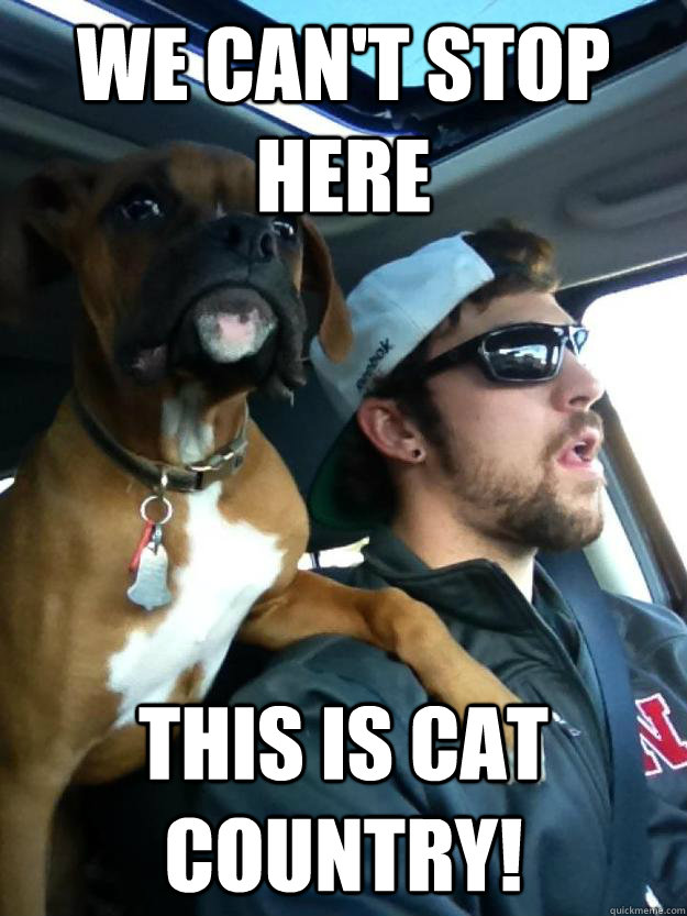 we cant stop here this is cat country -