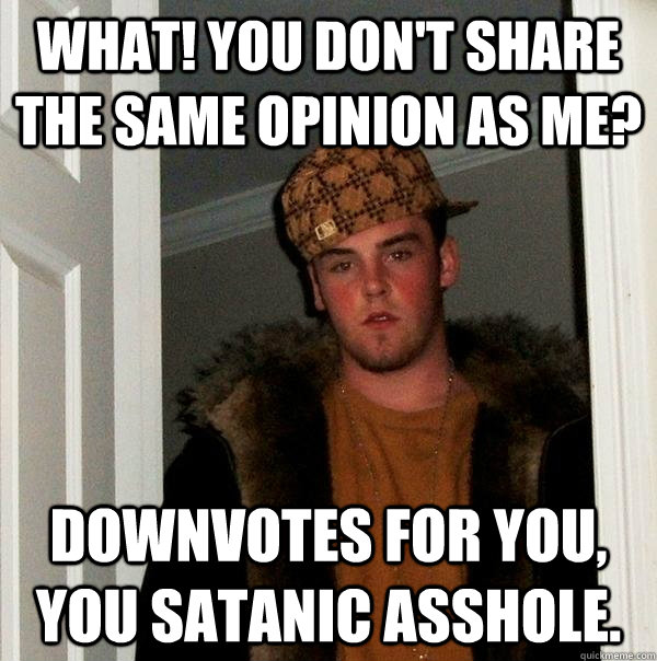 what you dont share the same opinion as me downvotes for - Scumbag Steve