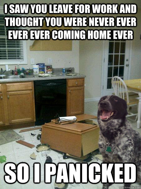 i saw you leave for work and thought you were never ever eve - panicked dog