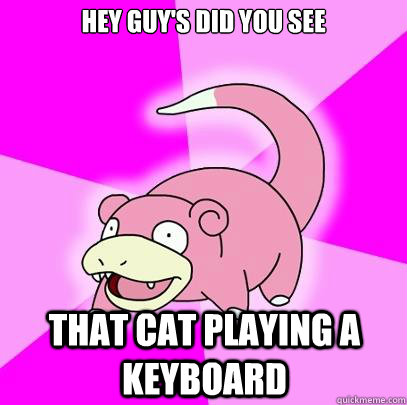 hey guys did you see that cat playing a keyboard - Slowpoke