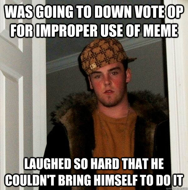 was going to down vote op for improper use of meme laughed s - Scumbag Steve