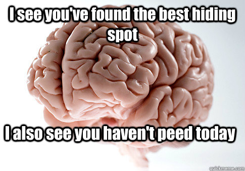 i see youve found the best hiding spot i also see you haven - Scumbag Brain