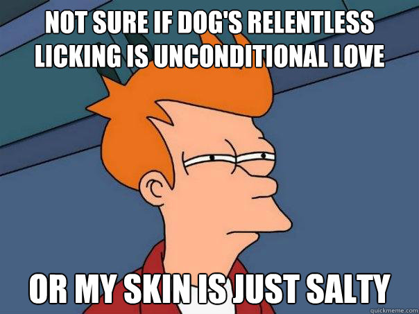 not sure if dogs relentless licking is unconditional love o - Futurama Fry