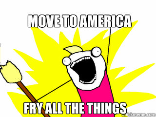 move to america fry all the things - All The Things