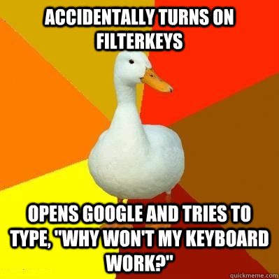 accidentally turns on filterkeys opens google and tries to t - Tech Impaired Duck