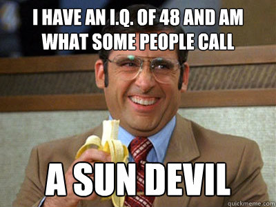 i have an iq of 48 and am what some people call a sun devi - Brick Tamland