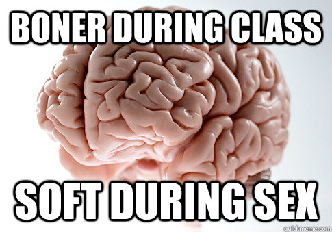 boner during class soft during sex - Scumbag Brain