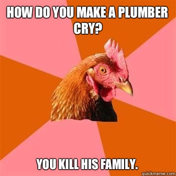 How do you make a plumber cry Because he wanted to - True story now anti joke chicken