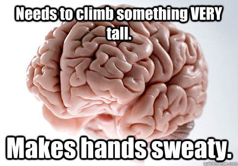 needs to climb something very tall makes hands sweaty - Scumbag Brain