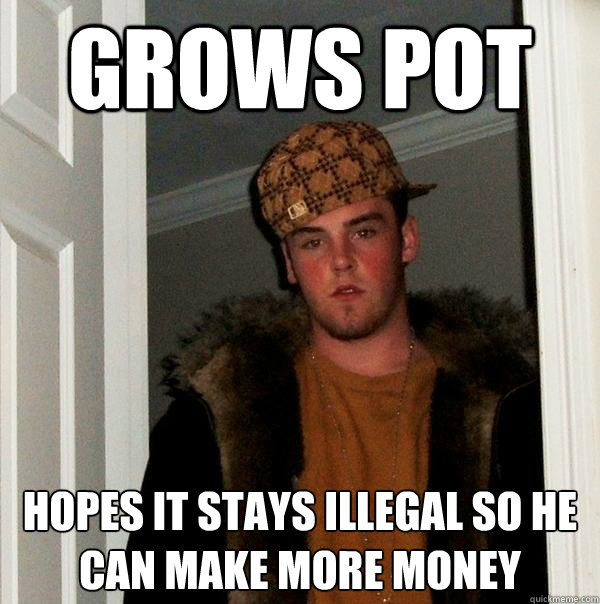 grows pot hopes it stays illegal so he can make more money - Scumbag Steve