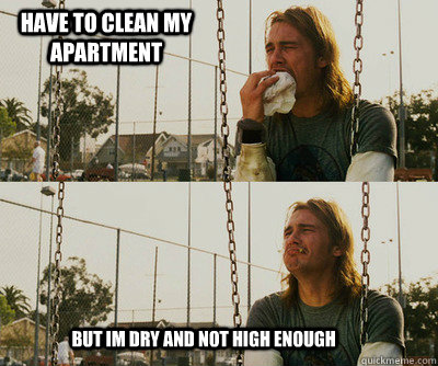 have to clean my apartment but im dry and not high enough - First World Stoner Problems