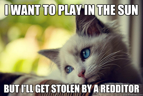 i want to play in the sun but ill get stolen by a redditor - First World Problems Cat