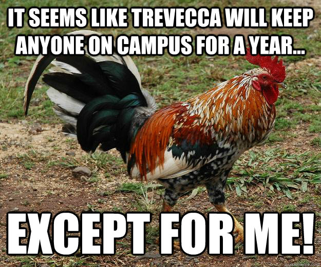 it seems like trevecca will keep anyone on campus for a year - Red Team Rooster