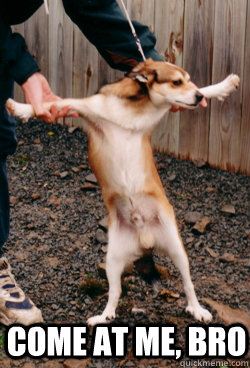 come at me bro -