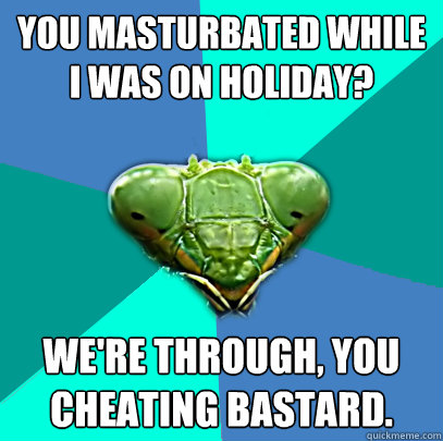 you masturbated while i was on holiday were through you c - Crazy Girlfriend Praying Mantis