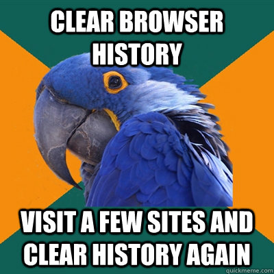 clear browser history visit a few sites and clear history ag - Paranoid Parrot