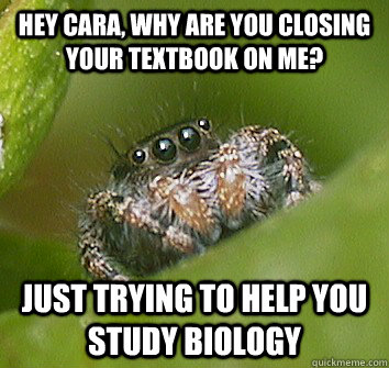 hey cara why are you closing your textbook on me just tryi - Misunderstood Spider