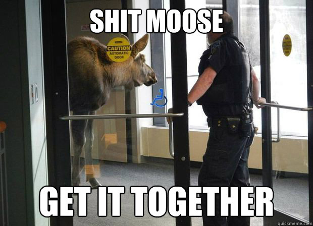 shit moose get it together -